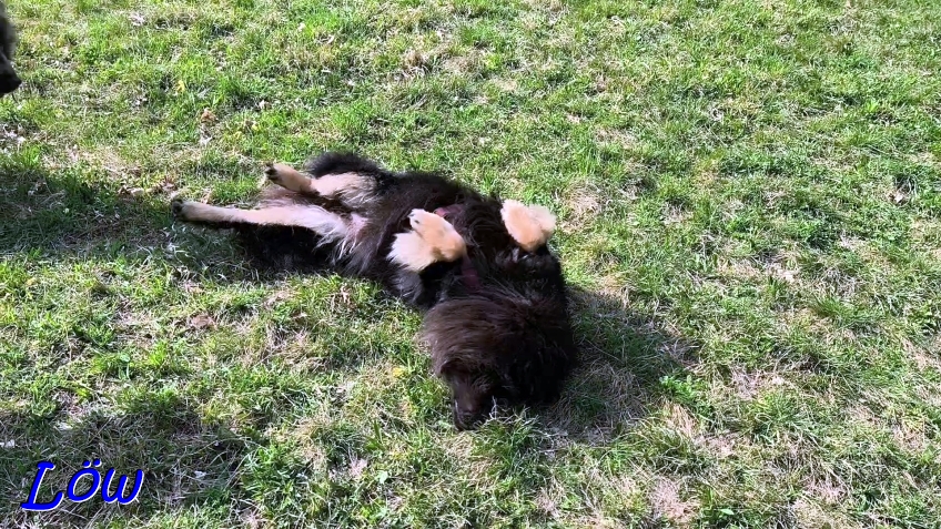 8.4.2025 - Pausenspa&szlig;